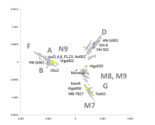 Multi Dimensional Scaling (MDS) plot of whole coding sequences of mitogenome of Paleolithic, Jomon, Yayoi and present-day individuals in Japan